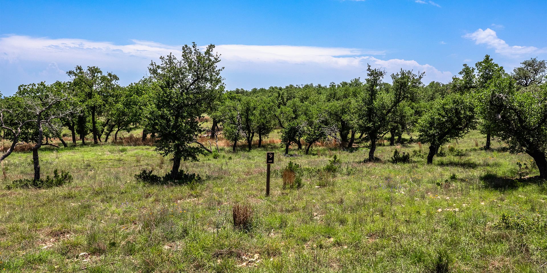0002_DJI_0967 HDR
