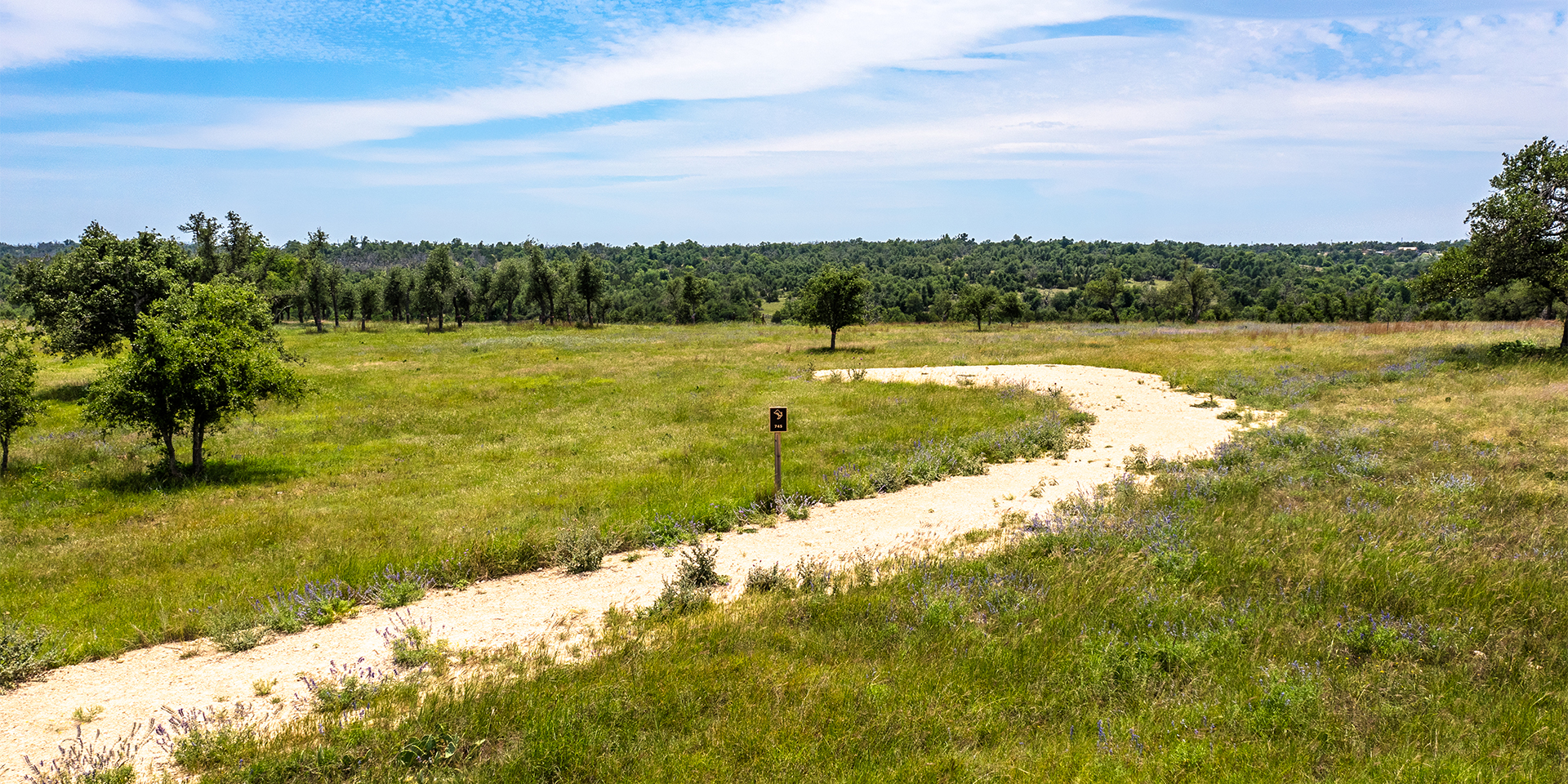 0001_DJI_0018 HDR