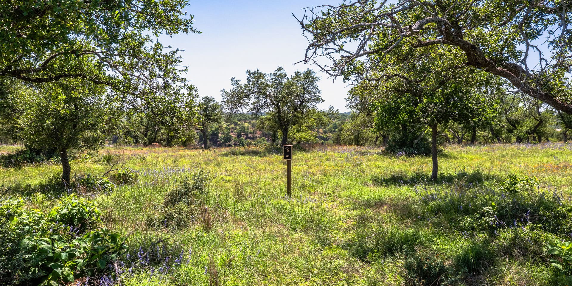 0001_DJI_0113 HDR