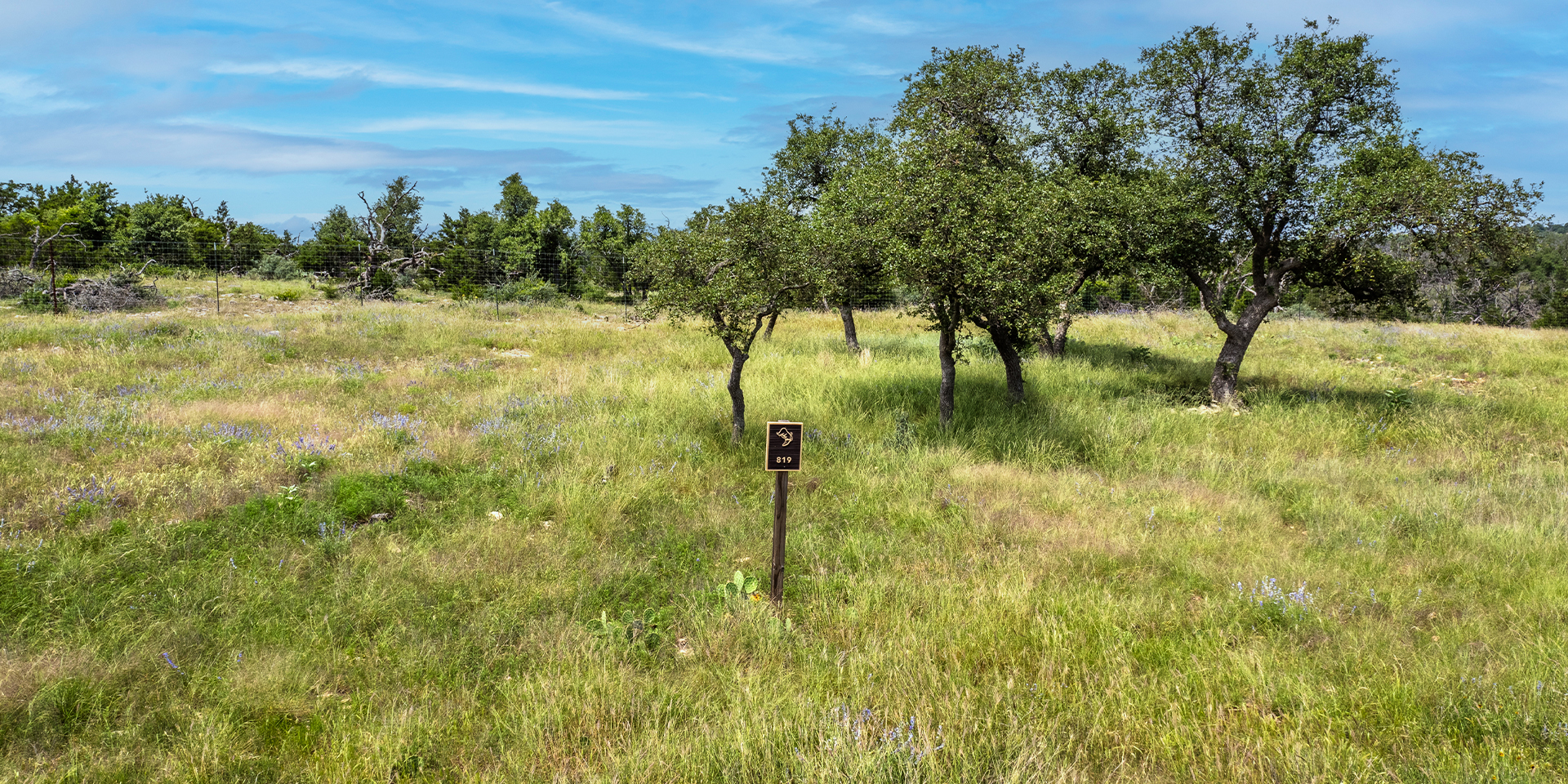 0002_DJI_0043 HDR copy