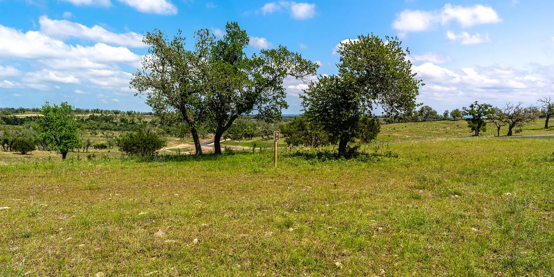 0002__SA77566 HDR 1920w