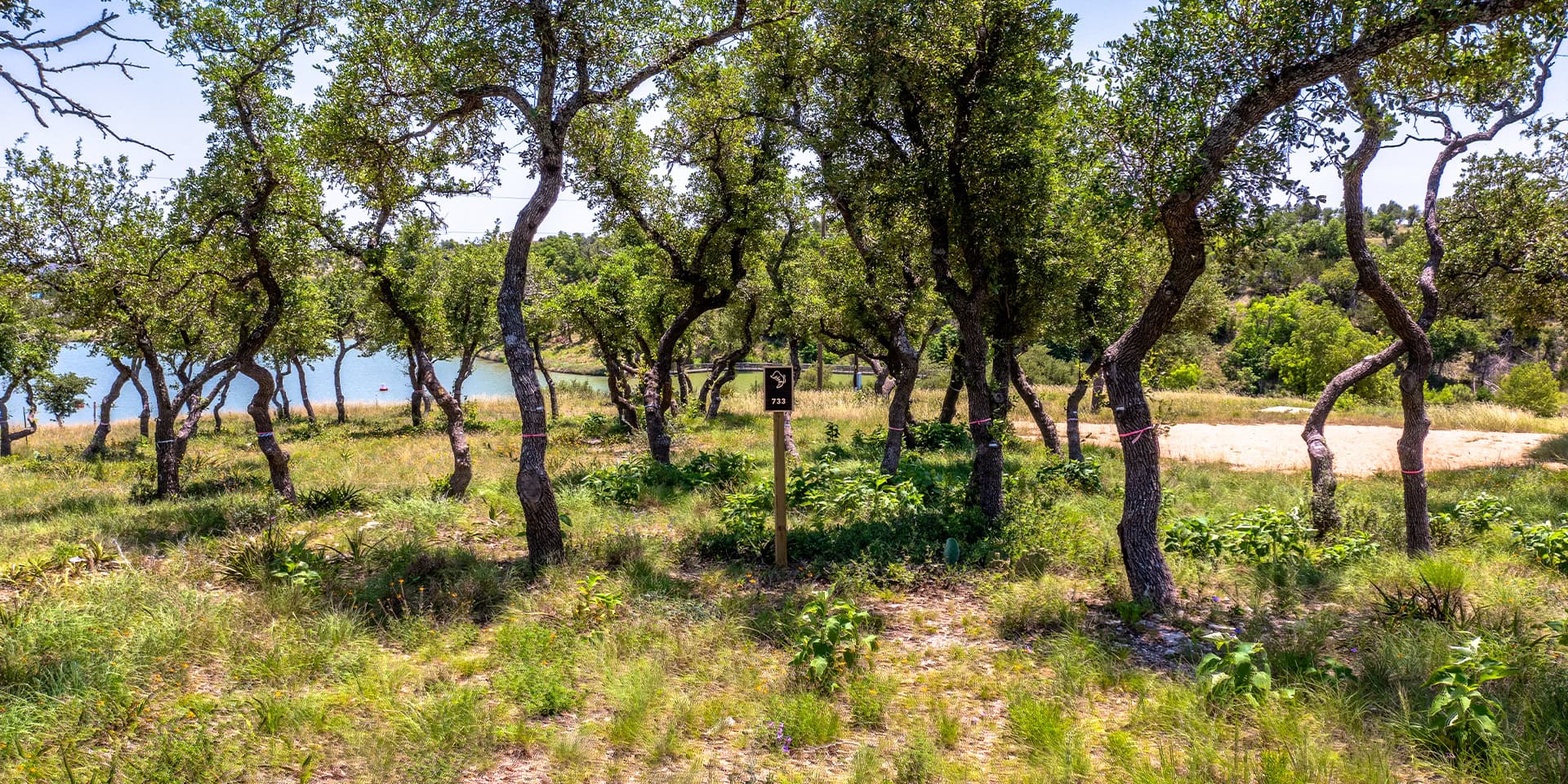 0004_DJI_0306 HDR