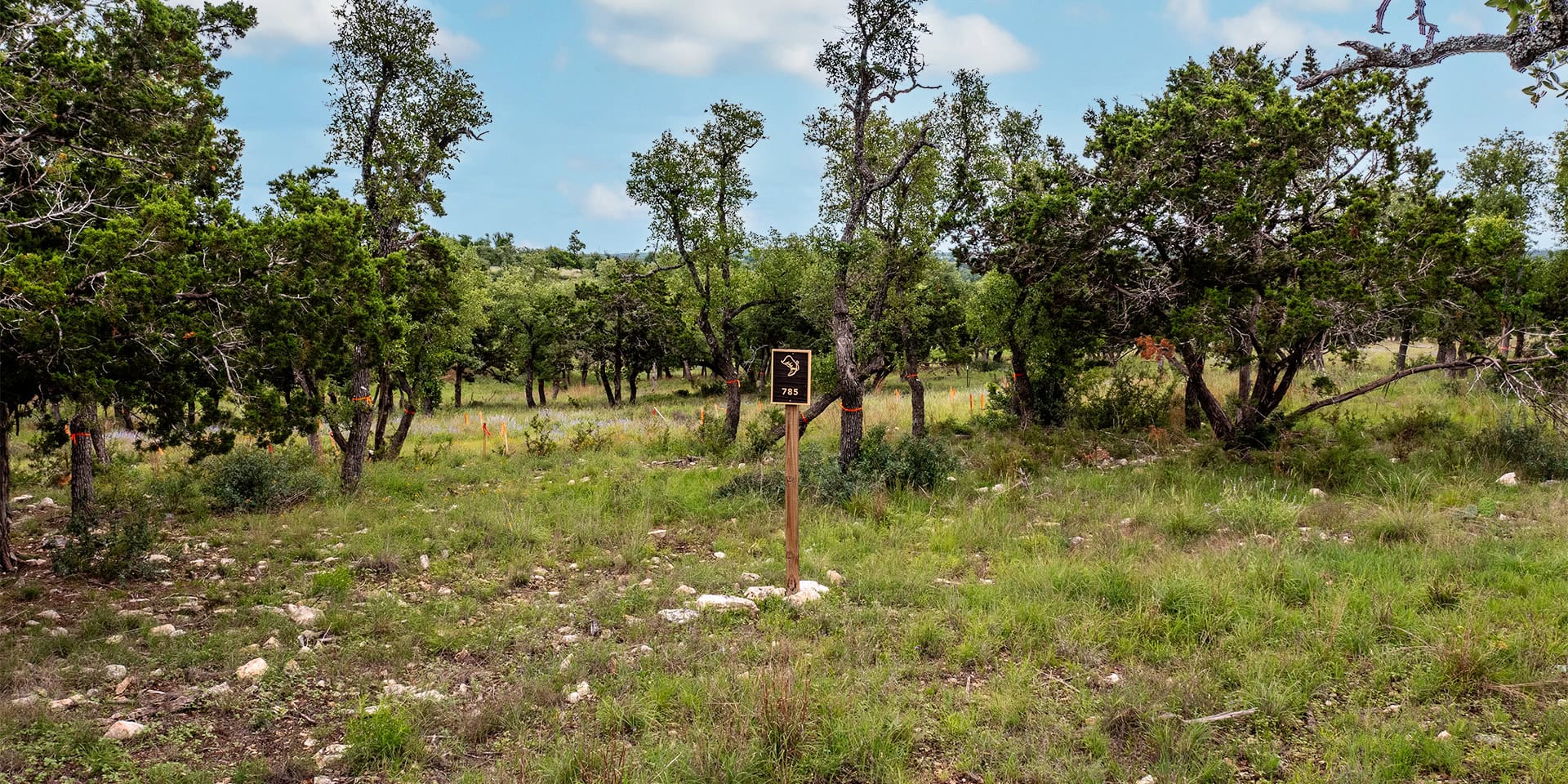0001_DJI_0653 HDR