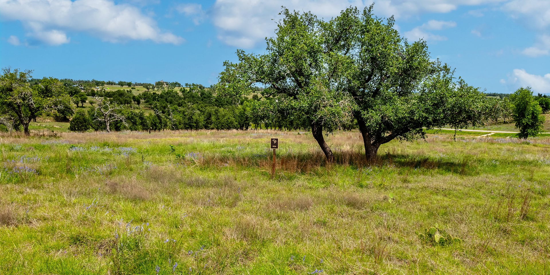 0001_DJI_0723 HDR