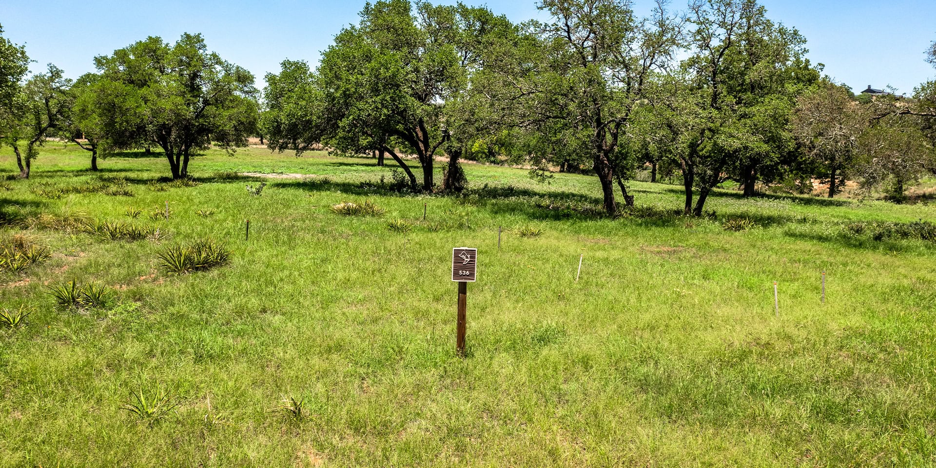 0002_DJI_0078 HDR