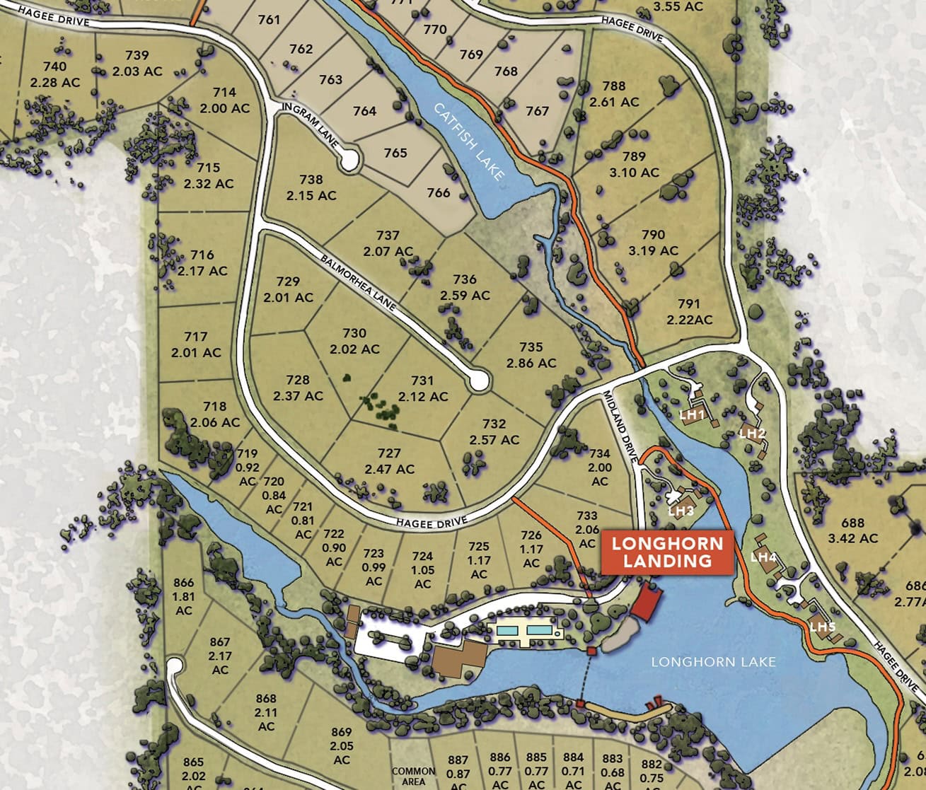 Layout1