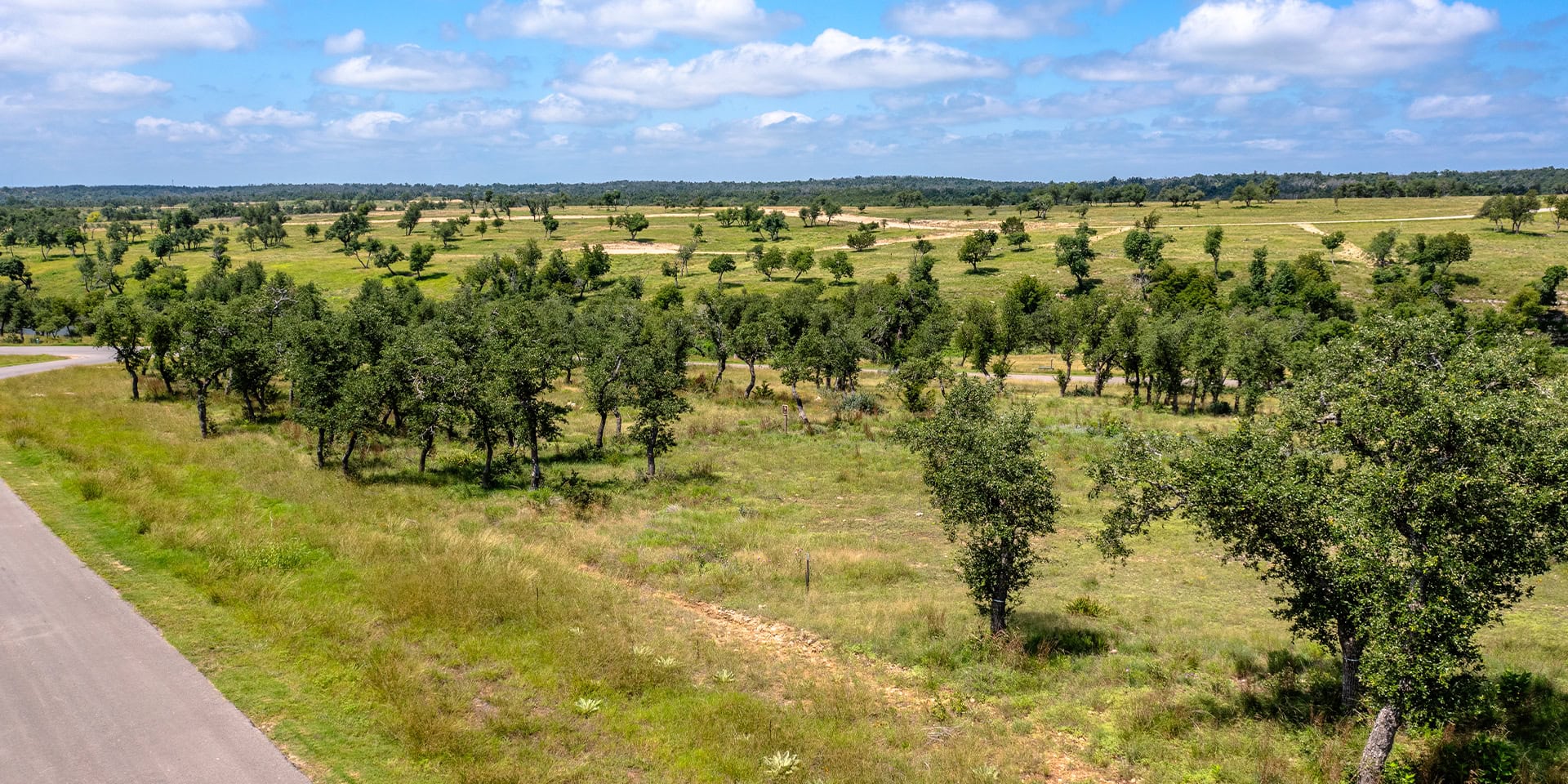 0003_DJI_0016 HDR