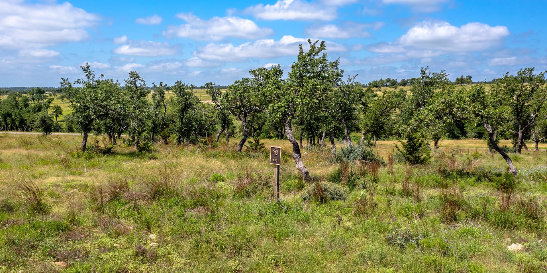 0004_DJI_0011 HDR